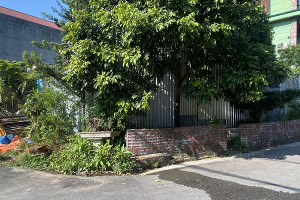 Vụ cấp đất vườn thiếu minh bạch ở Quảng Ninh: Đề nghị cấp có thẩm quyền vào cuộc, tiến hành kiểm tra toàn diện! Vụ cấp đất vườn thiếu minh bạch ở Quảng Ninh: Đề nghị cấp có thẩm quyền vào cuộc, tiến hành kiểm tra toàn diện!