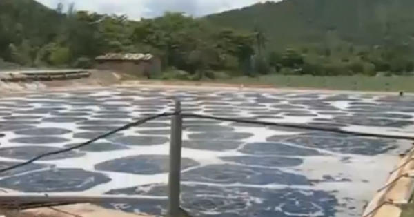 Thời sự 9h ngày 10/9/2016: Ô nhiễm nghiêm trọng tại bãi rác Khánh Sơn