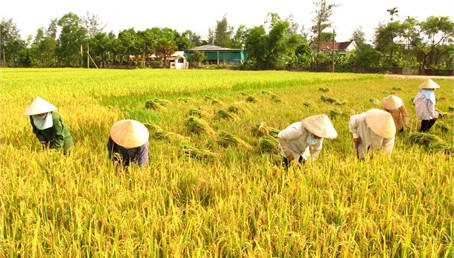 Phó thủ tướng Vương Đình Huệ chủ trì cuộc họp sơ kết Luật Hợp tác xã