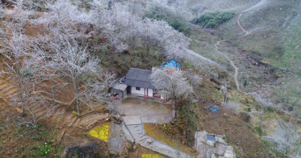 Hình ảnh Sa Pa chìm trong băng giá ngày cận Tết