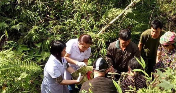 Hà Giang: Thai phụ vượt cạn hi hữu dưới khe núi