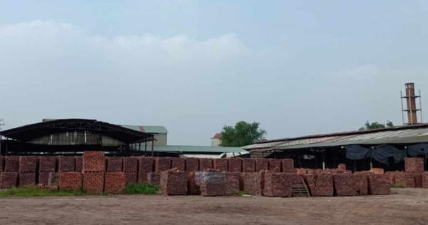 Chủ tịch HĐQT và giám đốc lừa bán tài sản đã thế chấp ngân hàng