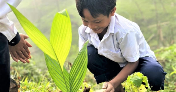 Tổ chức giảng dạy lồng ghép các chuyên đề về trồng cây xanh Tổ chức giảng dạy lồng ghép các chuyên đề về trồng cây xanh