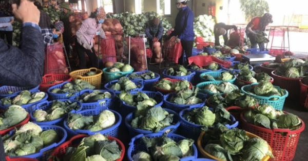“Chung sức cùng người dân tiêu thụ nông sản” “Chung sức cùng người dân tiêu thụ nông sản”