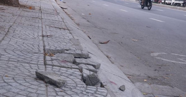 Vữa lát vỉa hè phục vụ APEC chỉ để ngăn... cỏ