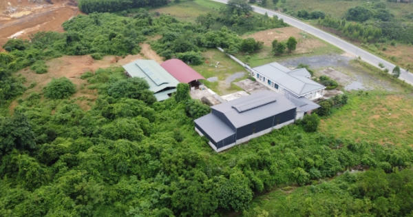 Công ty Cổ phần Đầu tư và Phát triển bò Mông Việt Nam “lừng khừng” việc khắc phục sai phạm