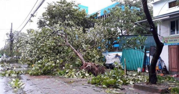 Bão số 2 về và bài thơ làm nhói lòng dân mạng