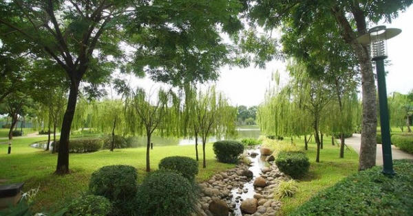 Địa ốc 7AM: Khu nghỉ dưỡng 'chui' trong rừng phòng hộ, không có đất bị thu hồi nhưng vẫn được tái định cư?