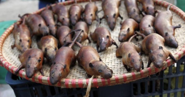 Sôi động thị trường chuột đồng mùa nước nổi