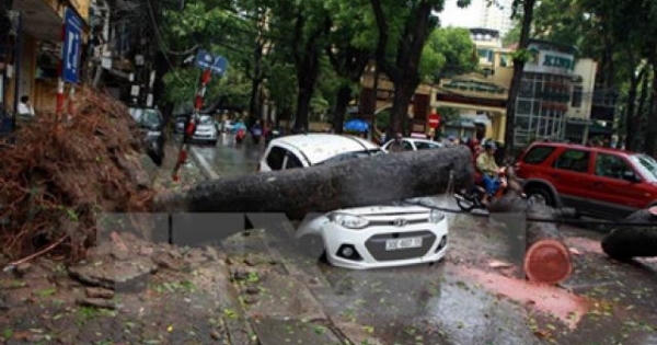 Thiệt hại Bão số 2 tại nhiều địa phương