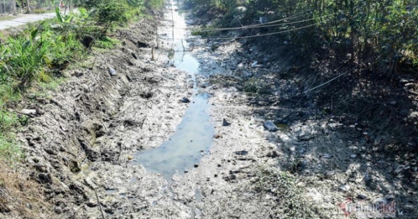 Hạn nứt đất, nước mặn như muối, khắp miền Tây 'ngồi trên đống lửa'