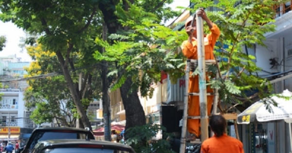 Hai đường bị cấm dừng xe sau tin nhắn gửi ông Đinh La Thăng