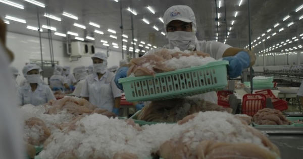 Gặp khó do COVID-19, doanh nghiệp còn bị 'hành' thủ tục hành chính Gặp khó do COVID-19, doanh nghiệp còn bị 'hành' thủ tục hành chính