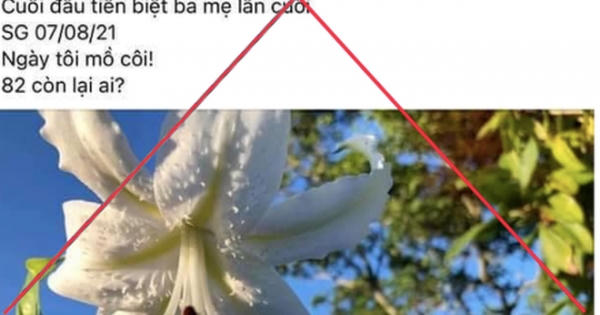 Vụ "bác sĩ Khoa rút ống thở của mẹ": Thêm 3 chủ tài khoản phải giải trình Vụ "bác sĩ Khoa rút ống thở của mẹ": Thêm 3 chủ tài khoản phải giải trình