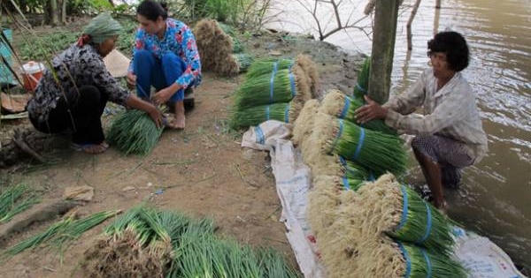 Cái “phao” của người nghèo