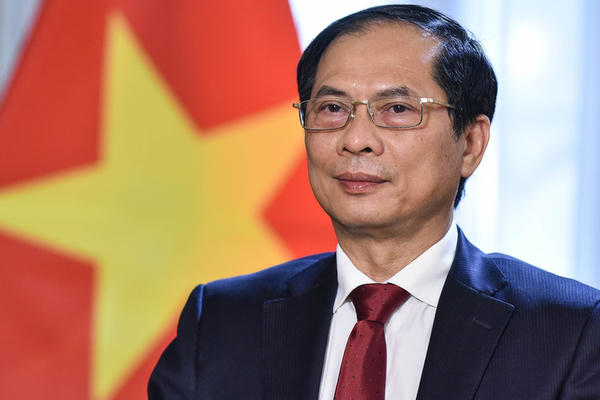 Ngoại giao Việt Nam năm 2022: Phát huy mạnh mẽ bản sắc “cây tre Việt Nam”