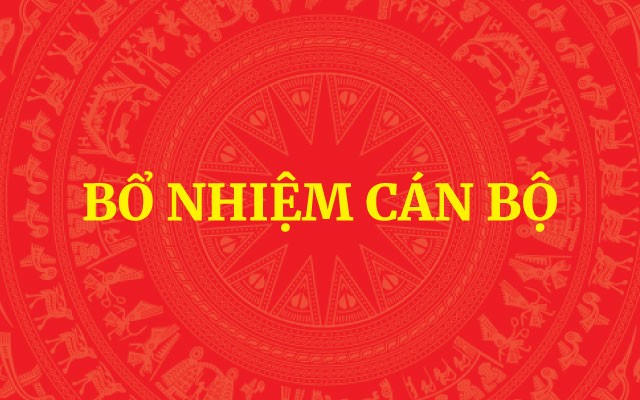Ông Trịnh Mạnh Linh được bổ nhiệm giữ chức Phó Chủ nhiệm Văn phòng Chính phủ