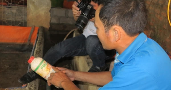 Nghệ An: Dân điêu đứng vì hư tin “vỗ béo lươn bằng thuốc tránh thai”