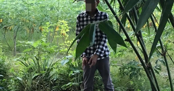 Lộ diện danh tính nam thanh niên 21 tuổi hàng chục lần hiếp dâm hai bé gái 8 và 9 tuổi tại Bình Định