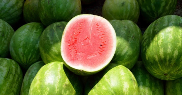 Nông sản dồn ứ không thể xuất khẩu sang Trung Quốc