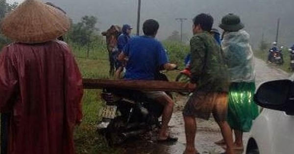 Lâm tặc tấn công kiểm lâm để cướp gỗ lậu ở Khánh Hòa