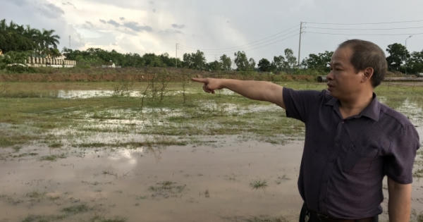 Vụ dân khởi kiện UBND tỉnh Nghệ An: Hủy các Quyết định liên quan nhưng lại “quên” quyền lợi của dân