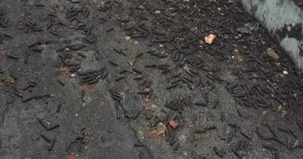 Đi nhặt đạn vụ nổ ở Bắc Ninh, một thanh niên bị đạn nổ rách đùi