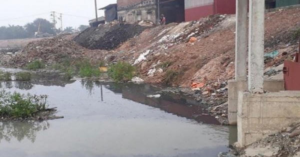 Công ty Giấy Tiến Mạnh bị xử phạt hơn 100 triệu đồng