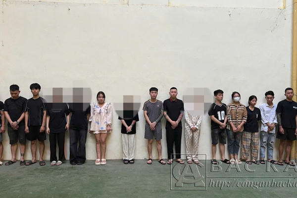 Bắc Kạn: Khởi tố 13 đối tượng với chiêu trò lừa đầu tư "sàn BO" Bắc Kạn: Khởi tố 13 đối tượng với chiêu trò lừa đầu tư "sàn BO"