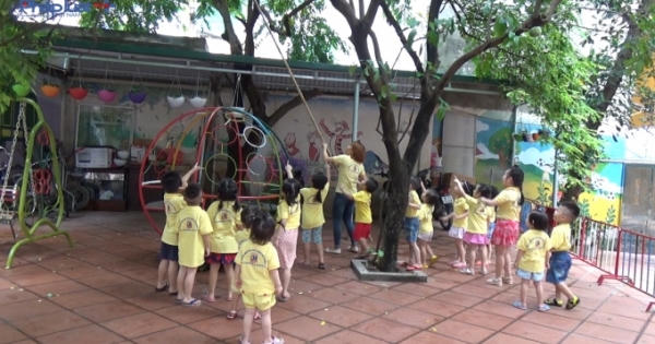 Đồng hành cùng Thực phẩm sạch: Mô hình vườn cây ăn quả tại nhà