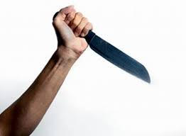 Đồng Nai: Hai anh em trai bị bắt trong vụ giết người giấu xác