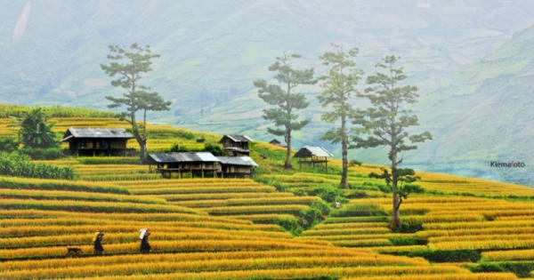 Khát vọng bình yên
