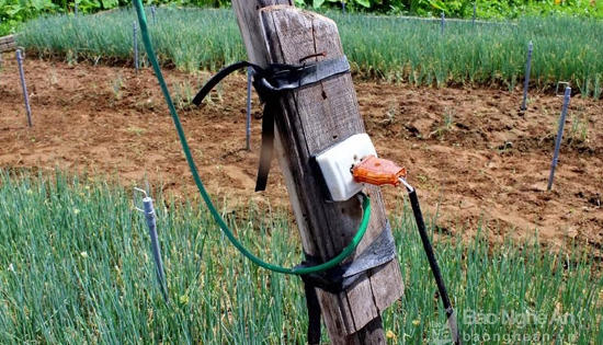 Hà Nội: Đi tìm gà bị mất, một người phụ nữ bị điện giật từ vong