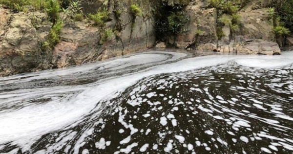 Công ty May Pearl Việt Nam bị xử phạt gần 500 triệu vì xả thải ra môi trường