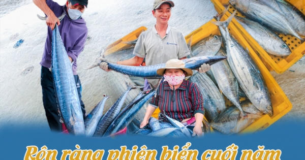 Rộn ràng phiên biển cuối năm Rộn ràng phiên biển cuối năm