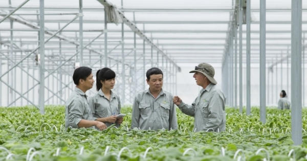 VinGroup liên kết với 1.000 HTX và hộ nông dân cung ứng nông sản sạch và an toàn