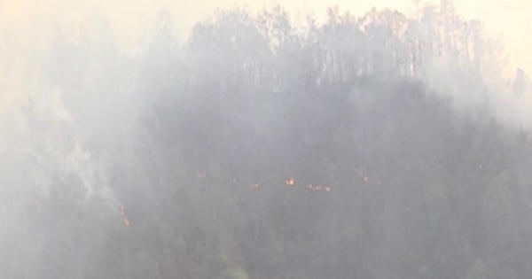 Hàng nghìn người tham gia chữa cháy tại Sơn La và Yên Bái