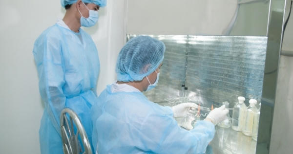 Việt Nam nuôi cấy thành công Đông Trùng Hạ Thảo trên môi trường tự nhiên