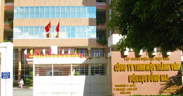 Công trình của thành viên Điện lực Đồng Nai bị tạm đình chỉ vì vi phạm PCCC