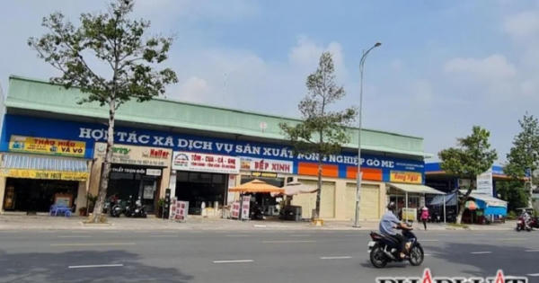 Thanh tra Chính phủ đề nghị Chủ tịch Đồng Nai kiểm tra kết luận sai phạm khu đất 'vàng' ở Biên Hòa