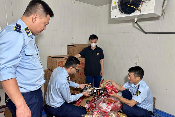 Thái Nguyên: Thu giữ hàng chục nghìn sản phẩm là thực phẩm nhập lậu Thái Nguyên: Thu giữ hàng chục nghìn sản phẩm là thực phẩm nhập lậu