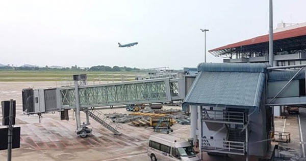 Cảng vụ Hàng không miền Nam cho mượn trụ sở để “đổi” chi phí điện nước, thuê cây cảnh!