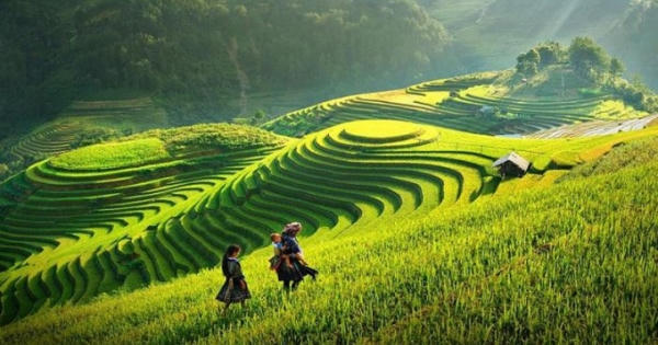 Du lịch xanh nâng tầm thương hiệu quốc gia Du lịch xanh nâng tầm thương hiệu quốc gia