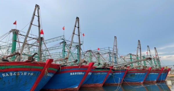 Năm 2022, sản lượng khai thác thủy sản của Nghệ An ước đạt gần 5.000 tỷ đồng