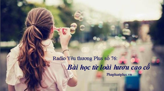 Radio Yêu thương Plus số 76: Bài học thành bại từ hươu cao cổ