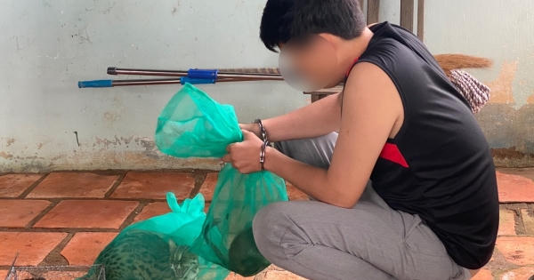 Nam thanh niên bán động vật rừng nguy cấp, quý, hiếm trên mạng kiếm lời