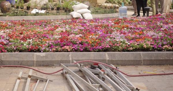 Phá rào, "vượt dây" chụp ảnh trước thềm Lễ hội hoa anh đào Nhật Bản 2018 Phá rào, "vượt dây" chụp ảnh trước thềm Lễ hội hoa anh đào Nhật Bản 2018