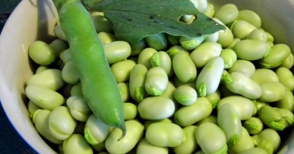 13 loại thực phẩm chứa độc tố tự nhiên cần tránh xa