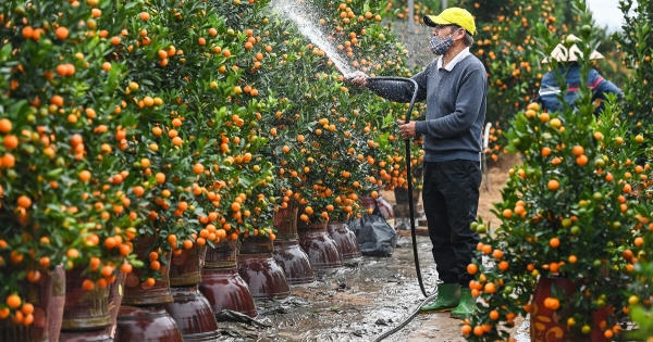 Dự kiến có 19 ngày nghỉ lễ, Tết trong năm 2023