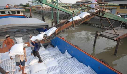 Vụ việc mở tờ khai xuất khẩu gạo lúc nửa đêm: VFA đề nghị kiểm tra, hủy toàn bộ tờ khai